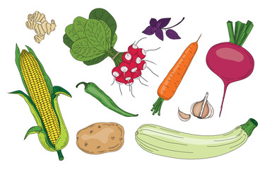Vegetables set