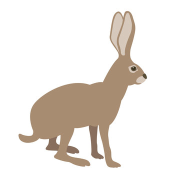 hare vector illustration style Flat