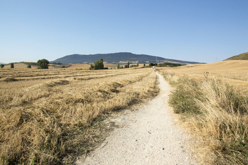 Camino de Santiago from Pamplona to Puente la Reina