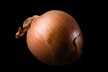 Onion - 122782115