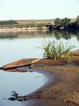 River Sozh