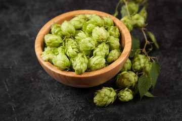 Fresh green hops