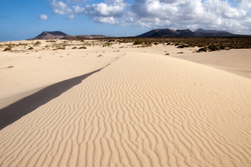 Natural-park, Corralejo , Fuerteventua, Canary Islands, Spain