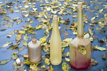 Bottles And Autumn Leaves