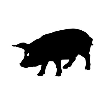 Pig silhouette. Vector illustration
