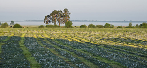 Łąki o świcie © jadwiga.koniecko