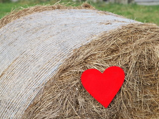 Herz auf Strohballen 02