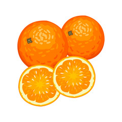 Vector illustration of fresh oranges