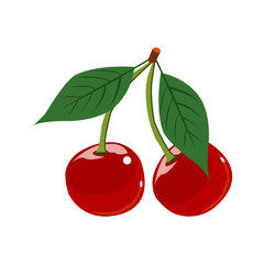 Ripe red cherry berries with leaves. Vector