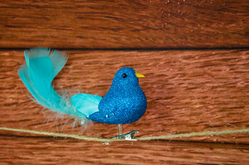 blue shining bird