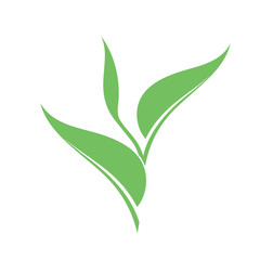 Sapling. Vector illustration