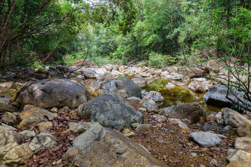 Stream in the tropical jungles