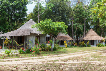 Fototapeta na wymiar The huts in the rainforest