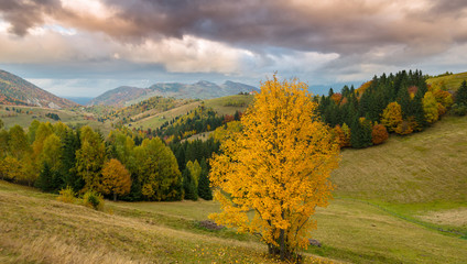 Idyllic autumn scenery in remote mountain area in Transylvania © Calin Tatu