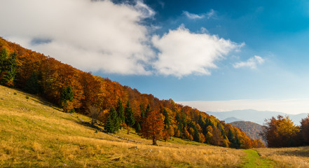October autumn scenery in remote mountain area in Transylvania