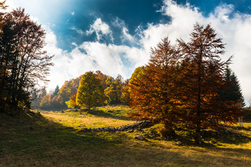 Naklejka premium October autumn scenery in remote mountain area in Transylvania