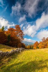 Naklejka premium October autumn scenery in remote mountain area in Transylvania