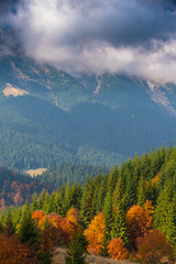October autumn scenery in remote mountain area in Transylvania