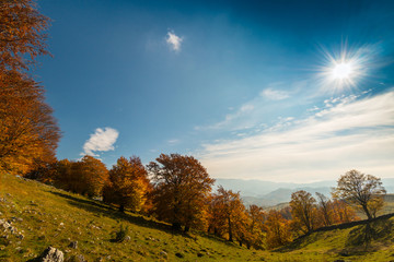 Pretty autumn scenery and autumn foliage in remote rural area in the mountains of Transylvania, Romania