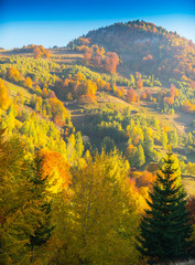 Pretty autumn scenery and autumn foliage in remote rural area in the mountains of Transylvania, Romania