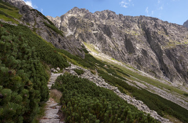 Fototapeta na wymiar Rocky trail in the High Tatras. Poland