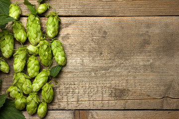 Fresh green hops on a wooden table closeup.