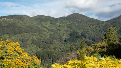 Monserrate Mountain