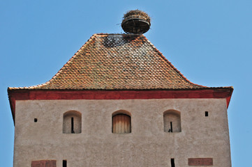 Selestat, Alsazia - nido di cicogne sulla torre delle streghe, Francia