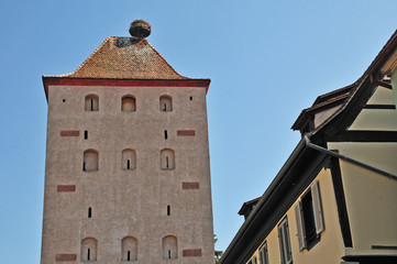 Selestat, Alsazia - nido di cicogne sulla torre delle streghe, Francia