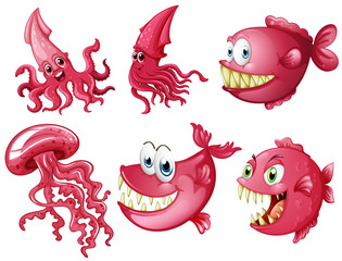 Sea animals in pink color