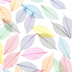 Fototapeta premium Skeleton leaf abstract background. Decorative ornament of colored leaves pattern. Template for design fabric, backgrounds, wrapping paper, package, covers