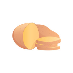 Potatoes vector illustration. Isolated potato on white background.
