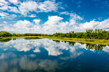 Nationalpark Donau Auen in Österreich
