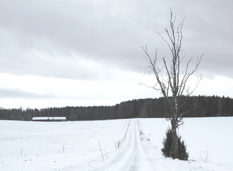 Winter road