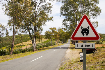 Verkehrsschild Luchs in Portugal
