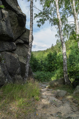 Fototapeta premium Harzklippen, Wanderpfad, Treppenstein