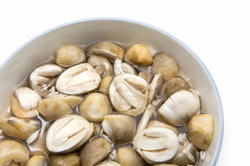 Straw mushrooms on white background