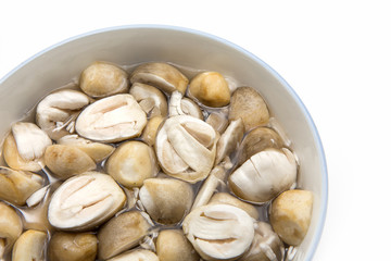 Straw mushrooms on white background
