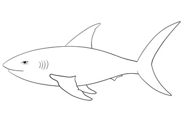 Shark. Hand drawn outline sketch