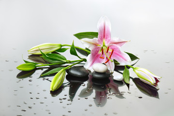 background of a spa with stones, and a sprig of lily flower