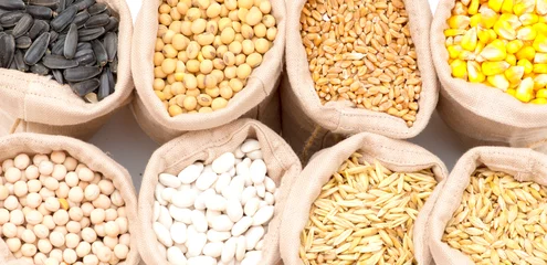 Keuken spatwand met foto bags with cereal grains (oat, barley, wheat, corn, beans, peas, soy, sunflower) © tutye