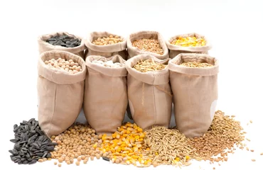 Zelfklevend Fotobehang bags with cereal grains (oat, barley, wheat, corn, beans, peas, soy, sunflower) © tutye
