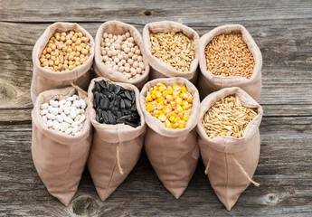 Schilderijen op glas bags with cereal grains (oat, barley, wheat, corn, beans, peas, soy, sunflower) © tutye