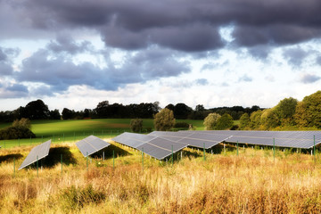 Fototapeta na wymiar Solar panels on a field in a rural autumn landscape in the warm sun light
