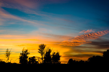 Sonnenuntergang im Nationalpark Donau Auen in Österreich