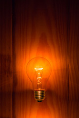 electric bulb on wooden background