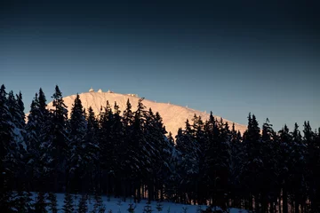 Foto op Plexiglas Mistig bos Winterbergen