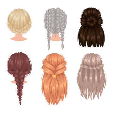 Vector Woman Hairstyle Back View