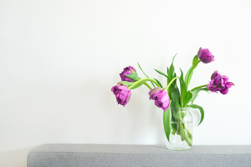 Fototapeta na wymiar Spring flowers. Many purple tulips on white background.