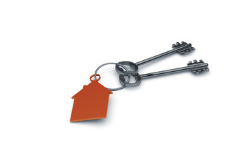 3d illustration of a key to the door, happiness, love and home